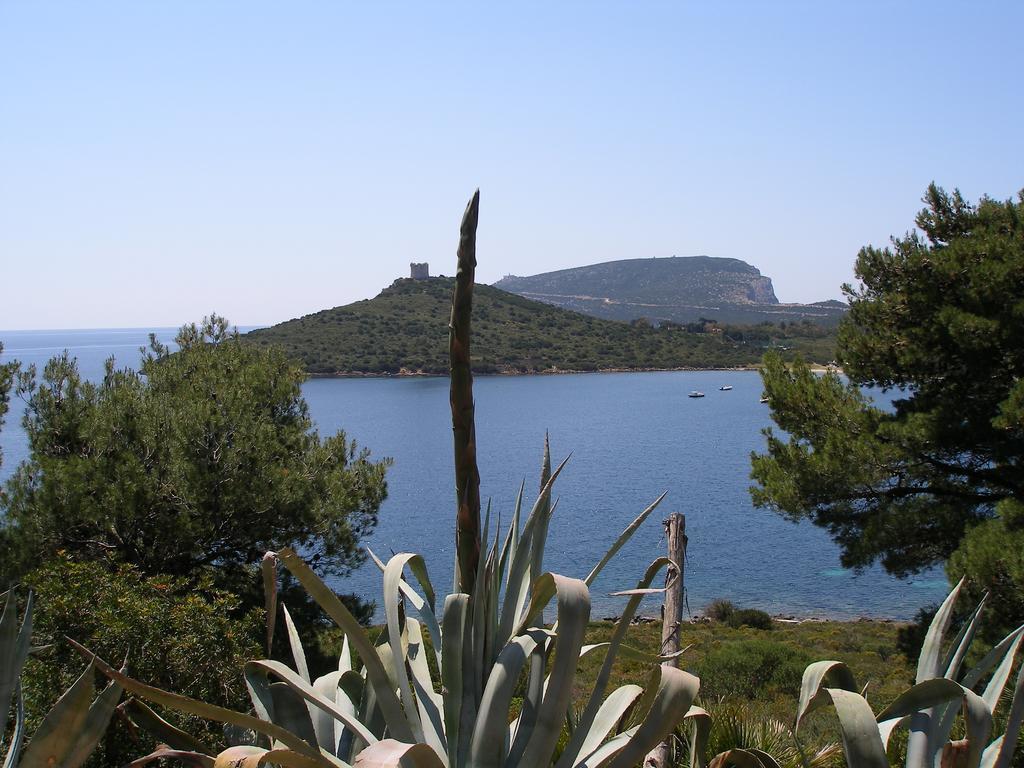 Giramondo Sardegna Affittacamere ألغيرو المظهر الخارجي الصورة