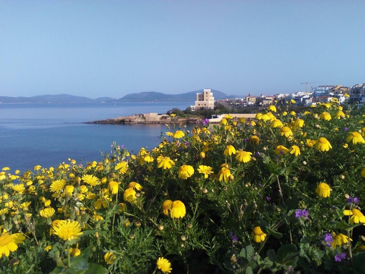 Giramondo Sardegna Affittacamere ألغيرو المظهر الخارجي الصورة