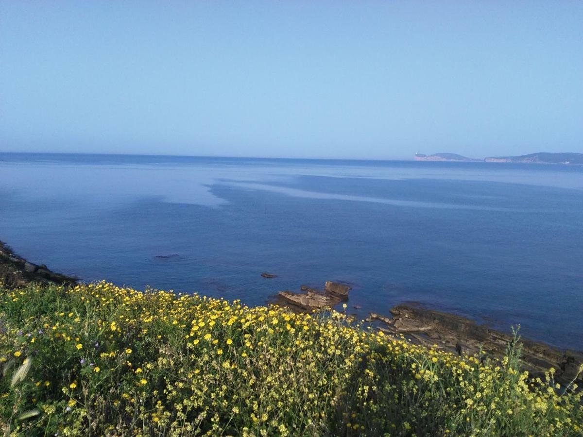 Giramondo Sardegna Affittacamere ألغيرو المظهر الخارجي الصورة